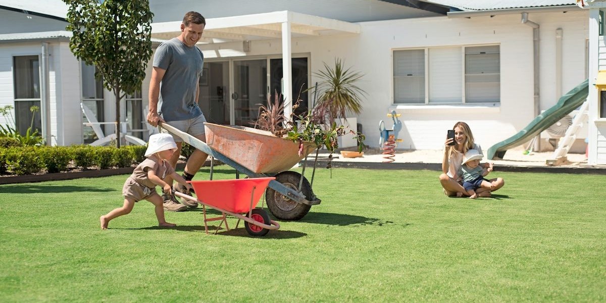 The Complete Guide to Buying Lawn Turf Online: Tips, Costs, and Local Options